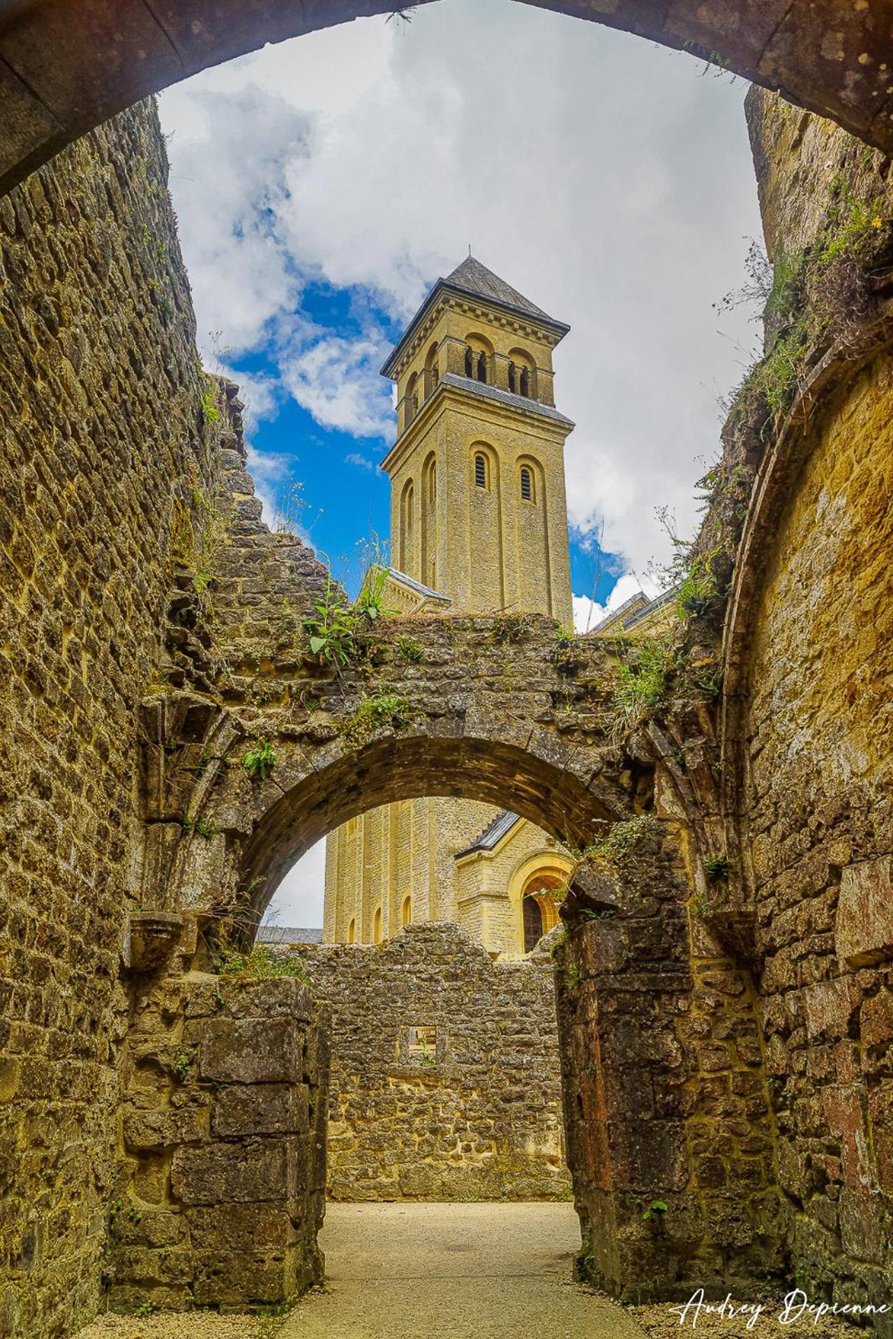 Bed and Breakfast Orval16 абатство Орваль Екстер'єр фото
